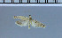  ( - F13-2011)  @11 [ ] Unspecified (default): All Rights Reserved  Unspecified Unspecified