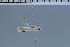  ( - G16-2011)  @11 [ ] Unspecified (default): All Rights Reserved  Unspecified Unspecified