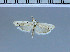  ( - G17-2011)  @11 [ ] Unspecified (default): All Rights Reserved  Unspecified Unspecified