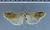  (PhycitinaeGEN sp. 7 - G21-2011)  @12 [ ] Unspecified (default): All Rights Reserved  Unspecified Unspecified