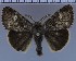  ( - H111-2011)  @14 [ ] Unspecified (default): All Rights Reserved  Unspecified Unspecified