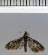  ( - A06-2011)  @13 [ ] Unspecified (default): All Rights Reserved  Unspecified Unspecified