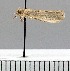  ( - A12-2011)  @11 [ ] Unspecified (default): All Rights Reserved  Unspecified Unspecified