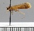  ( - B04-2011)  @11 [ ] Unspecified (default): All Rights Reserved  Unspecified Unspecified