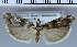  ( - E04-2010)  @13 [ ] Unspecified (default): All Rights Reserved  Unspecified Unspecified