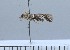  ( - F04-2011)  @11 [ ] Unspecified (default): All Rights Reserved  Unspecified Unspecified