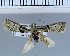  ( - G01-2010)  @12 [ ] Unspecified (default): All Rights Reserved  Unspecified Unspecified