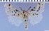  ( - red-236)  @12 [ ] Unspecified (default): All Rights Reserved  Unspecified Unspecified
