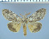  ( - red-371)  @11 [ ] Unspecified (default): All Rights Reserved  Unspecified Unspecified
