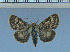  ( - red-383)  @13 [ ] Unspecified (default): All Rights Reserved  Unspecified Unspecified