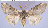  ( - white-231)  @14 [ ] Unspecified (default): All Rights Reserved  Unspecified Unspecified