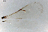  ( - OK157290)  @11 [ ] CreativeCommons - Attribution Share-Alike (2023) Unspecified Florida Department of Agriculture and Consumer Services, Division of Plant Industry