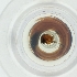  ( - PBRI_003_A2)  @11 [ ] by  Genome Research Ltd as Wellcome Sanger Institute Genome Research Limited operating as Wellcome Sanger Institute