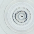 ( - PBRI_005_C8)  @11 [ ] by  Genome Research Ltd as Wellcome Sanger Institute Genome Research Limited operating as Wellcome Sanger Institute