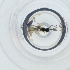  ( - PBRI_006_E11)  @11 [ ] by  Genome Research Ltd as Wellcome Sanger Institute Genome Research Limited operating as Wellcome Sanger Institute