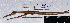  ( - QM JH-0001)  @13 [ ] Copyright (2009) Unspecified The Natural History Museum, London
