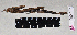  ( - QM JH-0004)  @13 [ ] Copyright (2009) Unspecified The Natural History Museum, London