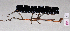  ( - QM JH-0036)  @13 [ ] Copyright (2009) Unspecified The Natural History Museum, London