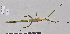  ( - QM PB-0022)  @13 [ ] Copyright (2009) Unspecified The Natural History Museum, London