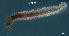  ( - LMBLP3-001)  @11 [ ] Unspecified (default): All Rights Reserved  Unspecified Unspecified