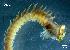  ( - LMBLP4-001)  @12 [ ] Unspecified (default): All Rights Reserved  Unspecified Unspecified