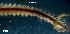  ( - LMBLP4-001)  @12 [ ] Unspecified (default): All Rights Reserved  Unspecified Unspecified