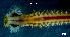  ( - LMBLP4-001)  @13 [ ] Unspecified (default): All Rights Reserved  Unspecified Unspecified