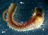  ( - LMBLP4-002)  @13 [ ] Unspecified (default): All Rights Reserved  Unspecified Unspecified