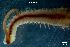  ( - LMBLP4-002)  @13 [ ] Unspecified (default): All Rights Reserved  Unspecified Unspecified