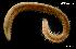  ( - LMBSAP16-002)  @13 [ ] Unspecified (default): All Rights Reserved  Unspecified Unspecified