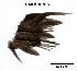  ( - LMBSAP25-001)  @11 [ ] Unspecified (default): All Rights Reserved  Unspecified Unspecified