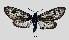  ( - MOBE125)  @11 [ ] by-nc-sa (2020) B. Mollet Unspecified