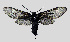  ( - MOBE132)  @11 [ ] by-nc-sa (2020) B. Mollet Unspecified