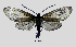  ( - MOBE153)  @11 [ ] by-nc-sa (2020) B. Mollet Unspecified