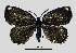  ( - MOBE170)  @11 [ ] by-nc-sa (2020) B. Mollet Unspecified