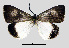  ( - MOBE181)  @11 [ ] by-nc-sa (2020) B. Mollet Unspecified