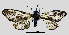  ( - MOBE1_275)  @11 [ ] by-nc-sa (2020) B. Mollet Unspecified
