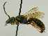  ( - PCHELA-G06)  @11 [ ] Copyright (2010) Timofey Levchenko Unspecified