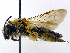  ( - SHMELb-G02)  @14 [ ] Copyright (2011) Timofey V. Levchenko State Darwin museum