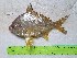  ( - STRI-X-6381)  @11 [ ] No Rights Reserved (2023) Unspecified Smithsonian Tropical Research Institute