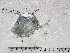 ( - STRI-X-6422)  @11 [ ] No Rights Reserved (2023) Unspecified Smithsonian Tropical Research Institute