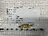  ( - STRI-13367)  @11 [ ] No Rights Reserved (2023) Unspecified Smithsonian Tropical Research Institute