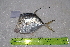  ( - STRI-X-6424)  @11 [ ] CreativeCommons  Attribution Non-Commercial Share-Alike (2023) Unspecified Smithsonian Tropical Research Institute