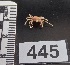  ( - PCINV_445)  @11 [ ] No Rights Reserved (2025) Unspecified Smithsonian Tropical Research Institute