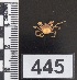  ( - PCINV_445)  @11 [ ] No Rights Reserved (2025) Unspecified Smithsonian Tropical Research Institute