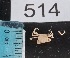  ( - PCINV_514)  @11 [ ] No Rights Reserved (2025) Unspecified Smithsonian Tropical Research Institute