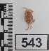  ( - PCINV_543)  @11 [ ] No Rights Reserved (2025) Unspecified Smithsonian Tropical Research Institute