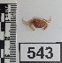  ( - PCINV_543)  @11 [ ] No Rights Reserved (2025) Unspecified Smithsonian Tropical Research Institute