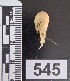  ( - PCINV_545)  @11 [ ] No Rights Reserved (2025) Unspecified Smithsonian Tropical Research Institute