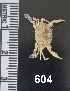  ( - PCINV_604)  @11 [ ] No Rights Reserved (2025) Unspecified Smithsonian Tropical Research Institute